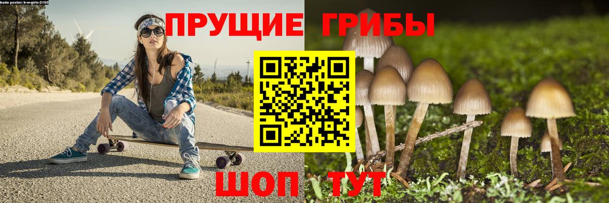 купить закладку  Псилоцибиновые грибы прущие грибы  Вход с VPN  Тара 