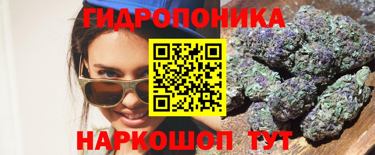Бошки марихуана планчик Тара